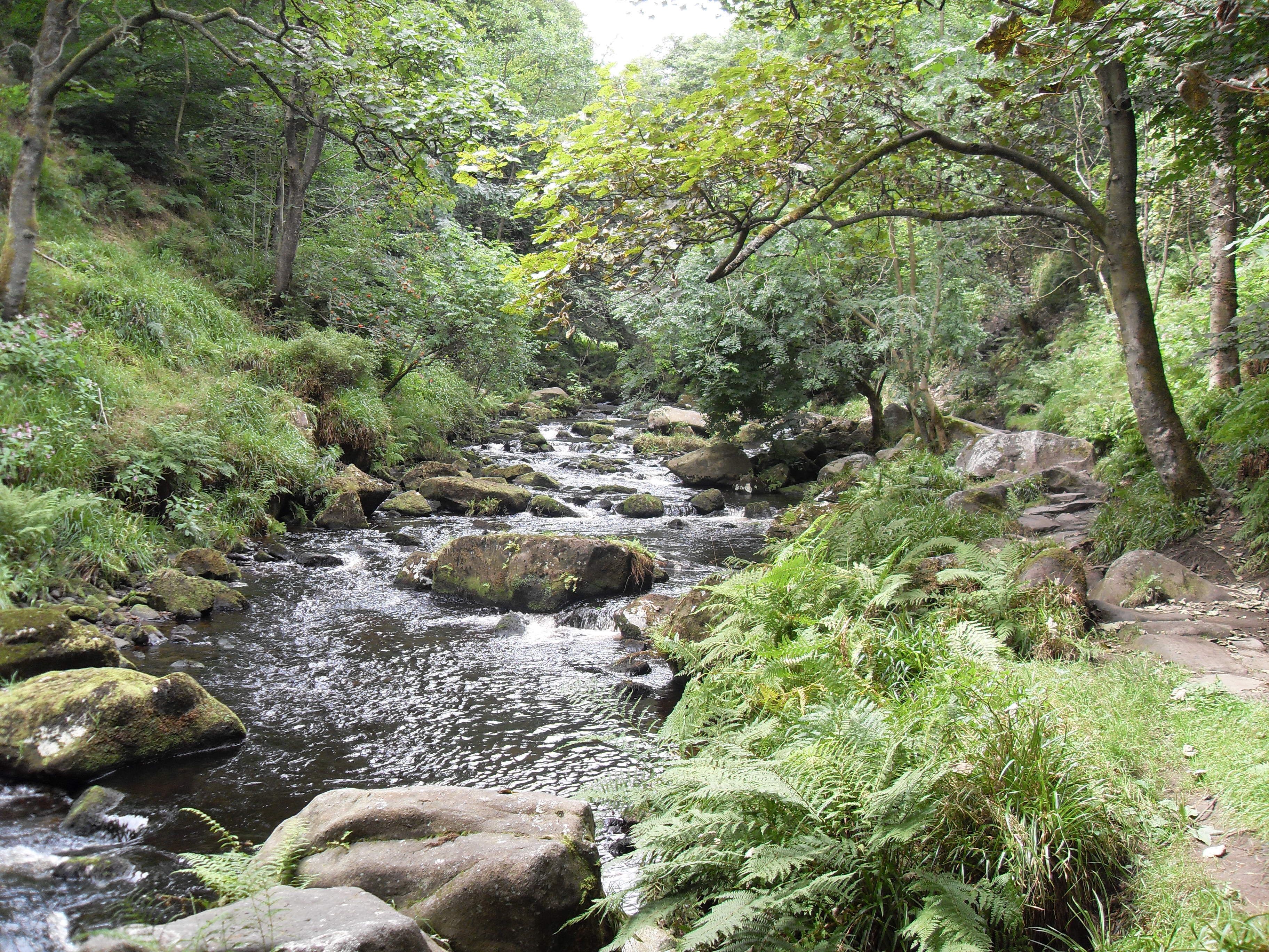 River near Hebden Bridge
