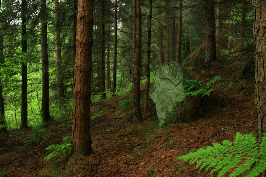 Hardcastle Crags