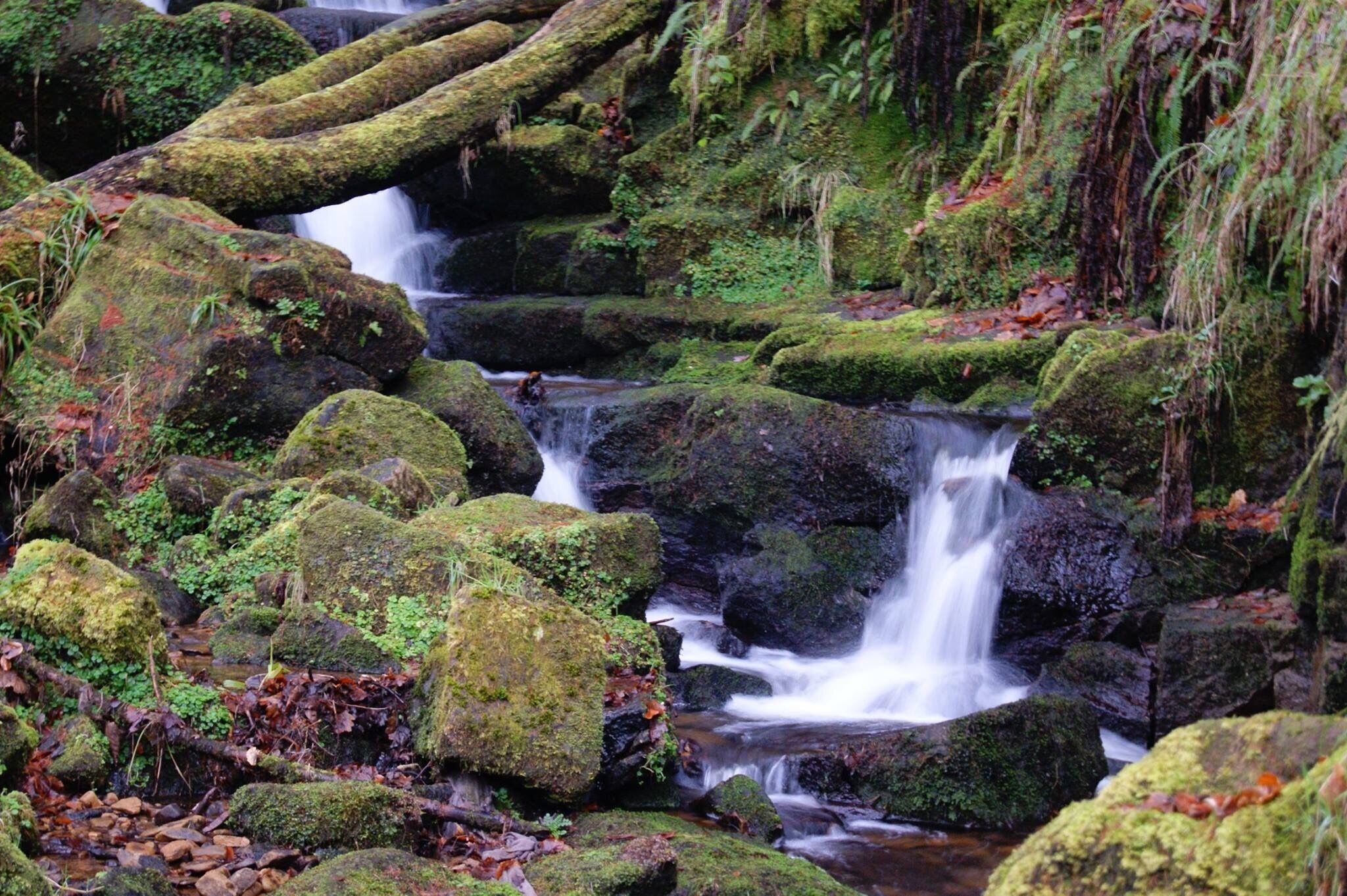 Absolutely beautiful waterfall...well worth a visit, run by National Trust and has a lovely tea room...parking is limited so get there early...