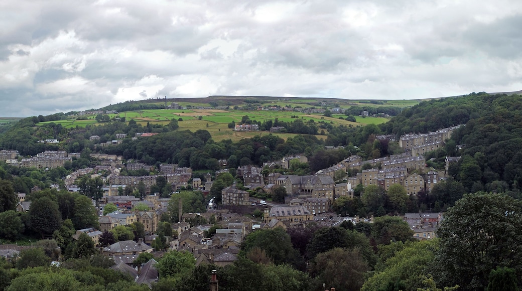 a wide panoramic view of the town of hebden bridge with hillside streets surrounded by trees and pennine fields