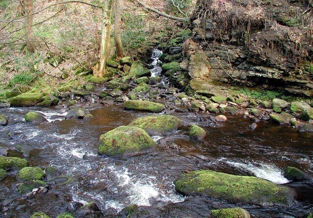 Cragg Brook, Spa Wood Small stream joining Cragg Brook at Spa Wood in Cragg Vale, northwest of Birks Hall.