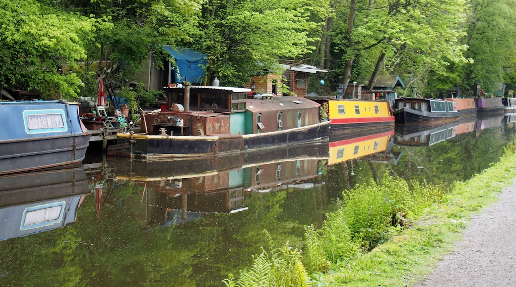 canal boats moored opposite the path on the rochdale canal near hebden bridge surrounded by trees in summer