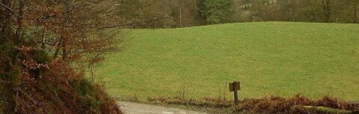 Lane Junction, Middle Dean.