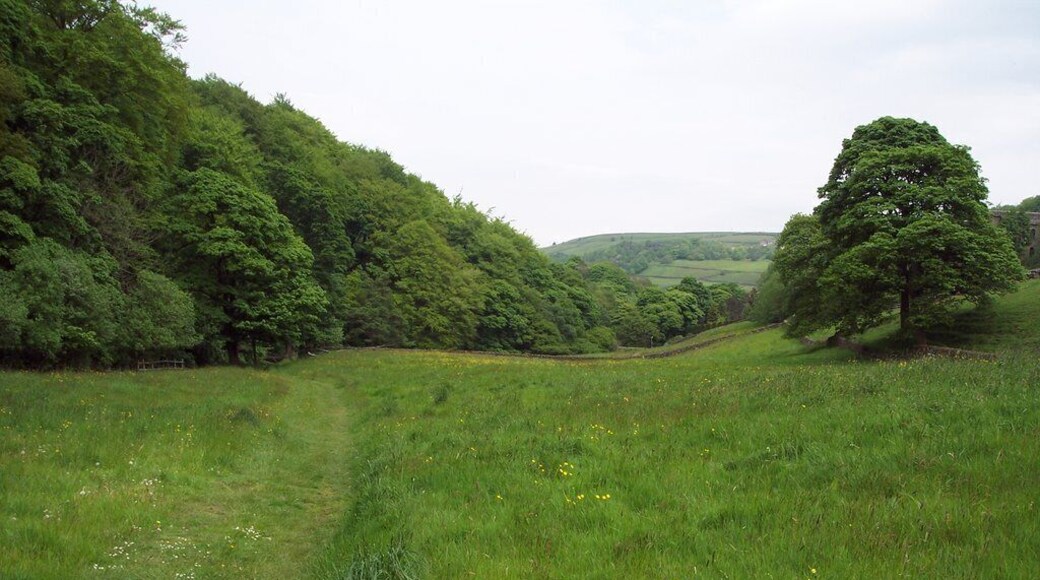 Footpath and field, Cragg Vale. Looking NE along Cragg Vale from the footpath