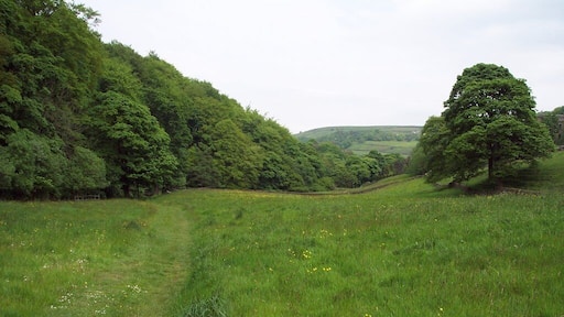 Footpath and field, Cragg Vale. Looking NE along Cragg Vale from the footpath