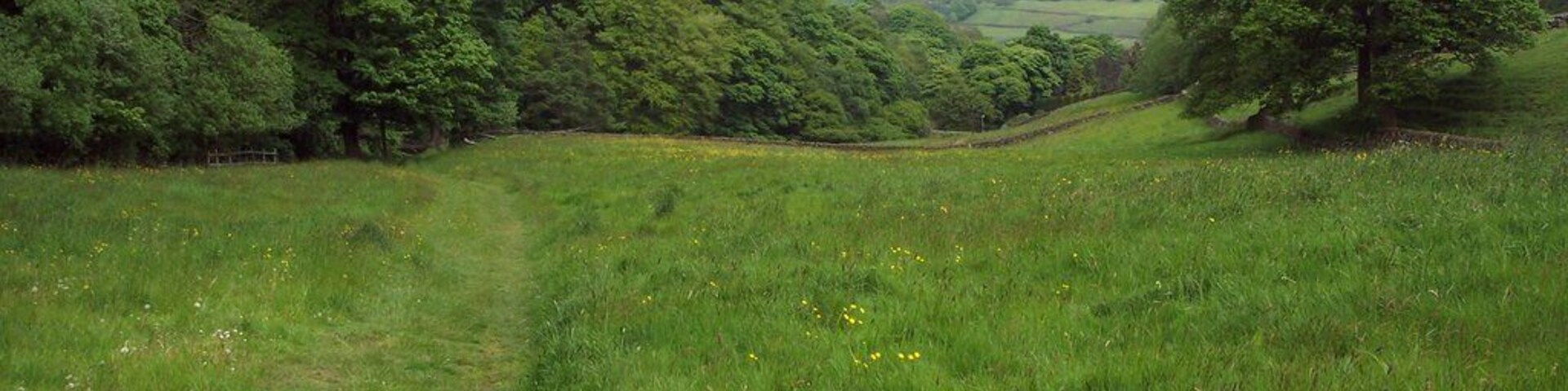 Footpath and field, Cragg Vale. Looking NE along Cragg Vale from the footpath