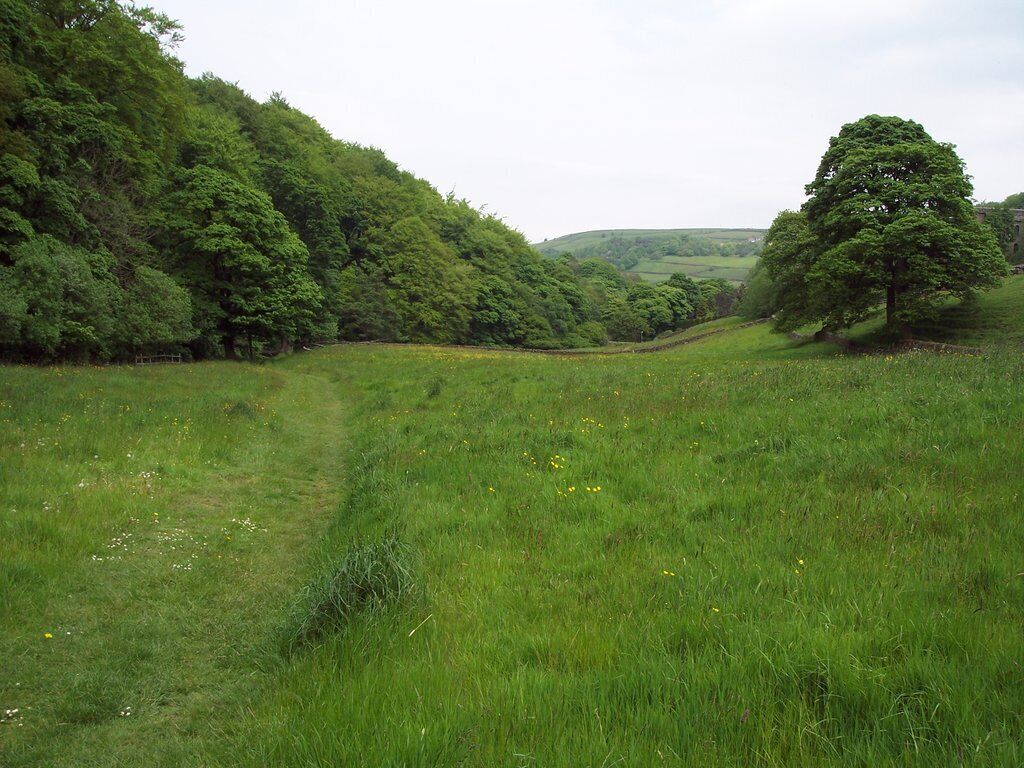 A lush green valley with a winding path, dense trees, and rolling hills in the background.
