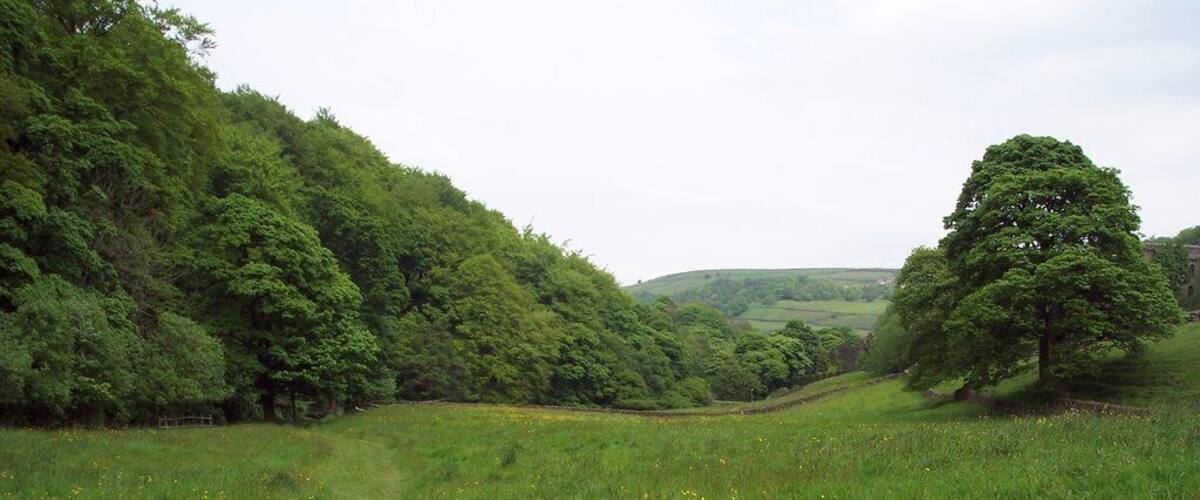 A lush green valley with a winding path, dense trees, and rolling hills in the background.