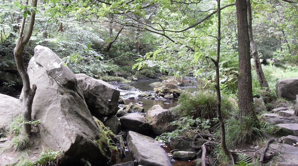 River near Hebden Bridge