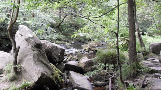 River near Hebden Bridge