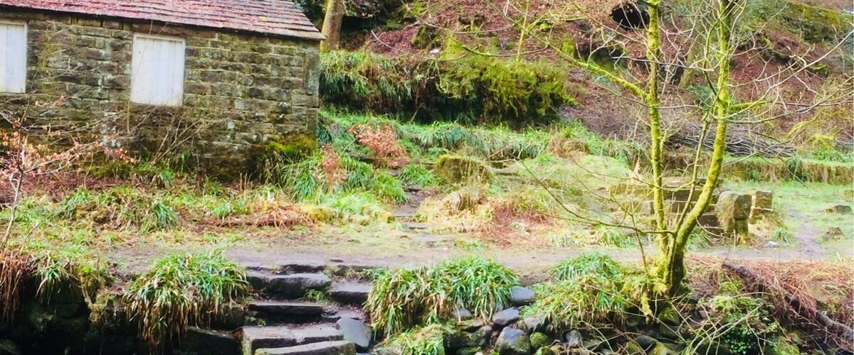 Un puente de piedra sobre un río caudaloso, rodeado de árboles y un edificio de piedra.