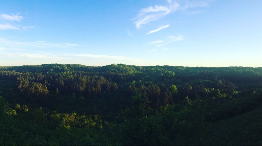 Lookout over the Spread Eagle Barrens