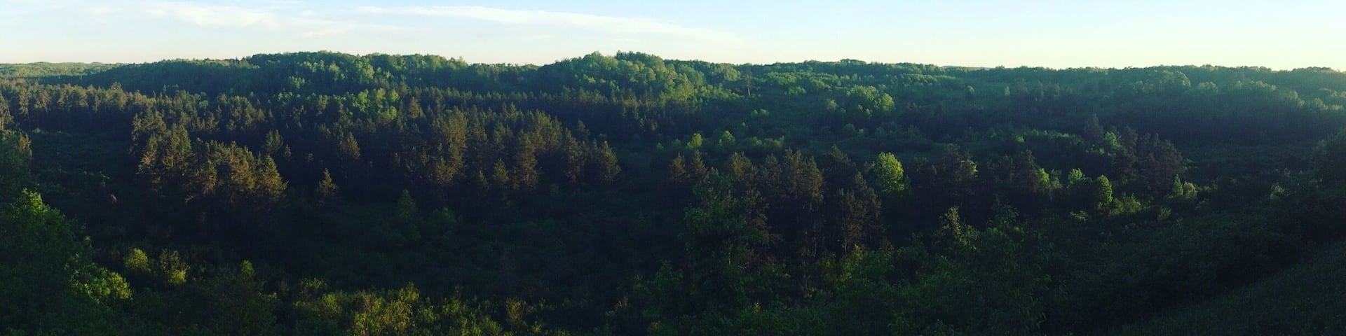 Lookout over the Spread Eagle Barrens
