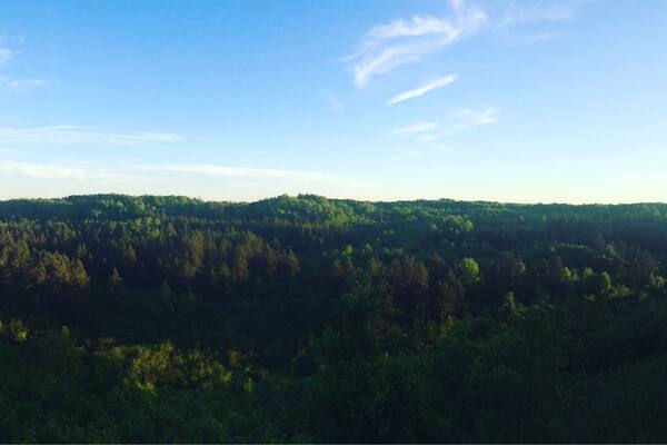Lookout over the Spread Eagle Barrens