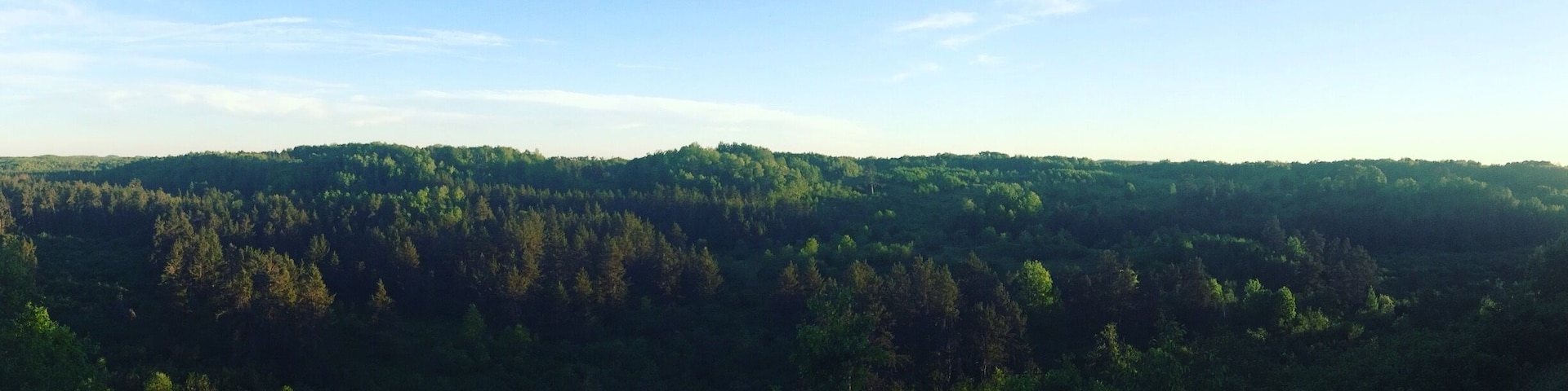 Lookout over the Spread Eagle Barrens