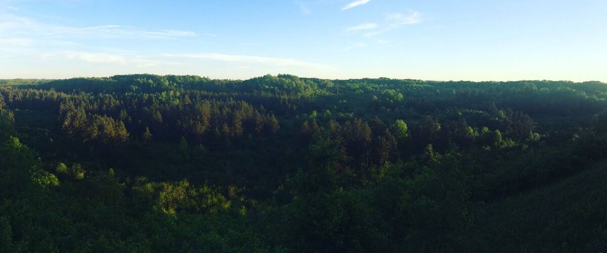 A forested landscape with a clear sky.