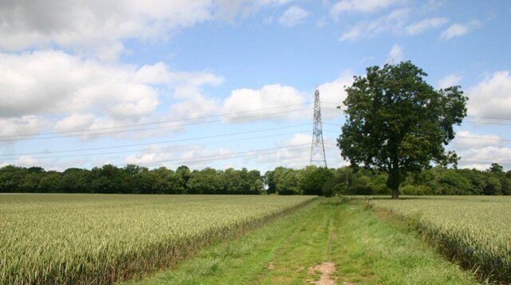 Footpath to Park Farm This path leads north from Hintlesham Golf Club, before turning westwards towards Park Farm on the A1071.