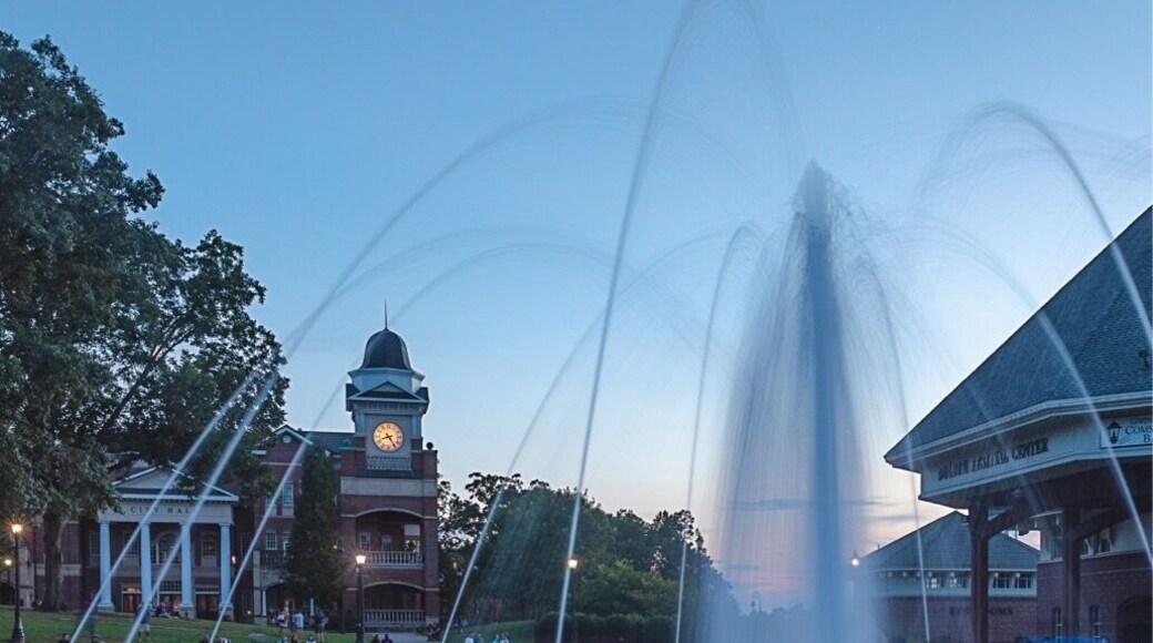 Friday afternoon on Atlanta roads are much like any other major city; utter gridlock. Gwinnecians (Gwinnett County residents) really do have something to rush out of town for. The quaint city center in the heart of Duluth, Georgia host Food Truck Fridays from May through September. It is an inviting family atmosphere with great food and live music. Oh, and as the little Mann said “Water foun-tin”. If you are rushing to get to this festive gathering, I completely understand your rush. If you’re near on a Friday bypass your usual Friday Mexican restaurant and drop into Duluth.