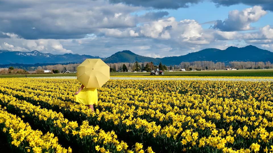 A person in a yellow dress walking through a field of yellow flowers with mountains in the background.