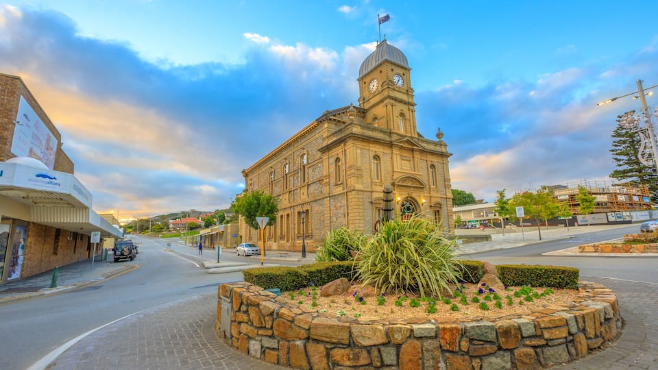 A historic building with a clock tower, surrounded by a stone circular plaza with plants and a cobblestone street.