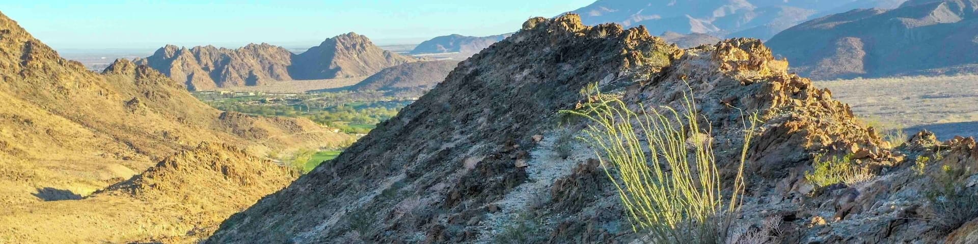 Take us to your leader!!
Amazing capture!
#wildlife #bighorn #sheep #animals #outdoors #nature #palmsprings #california #mountains #takeahike #optoutsjde #drone #photography #usa #america