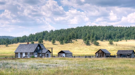 View of the 1878 A.D. Adeline Hornbek Homestead, a part of the Florissant Fossil Beds National Monument, neat Florissant, Colorado, U.S.A.