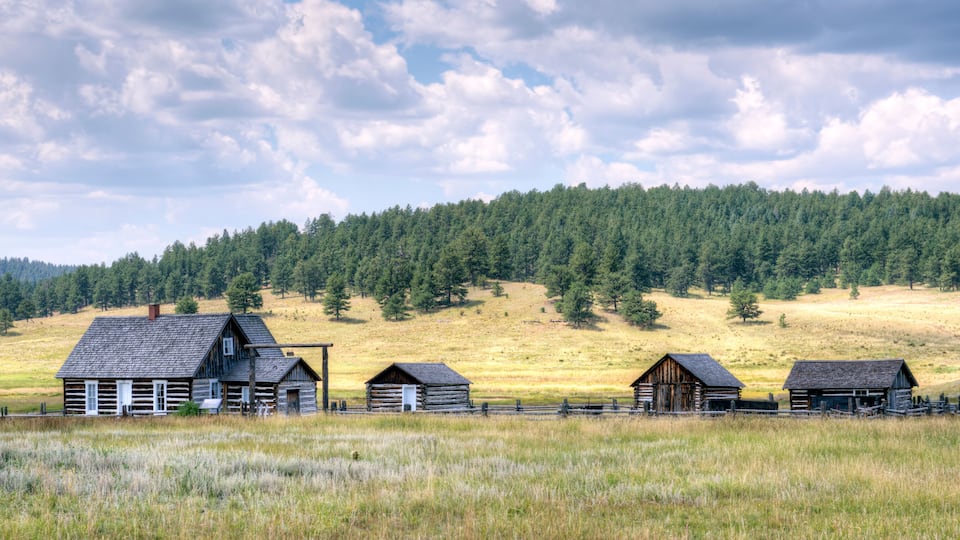 A rural landscape with a row of wooden cabins and a dense forest in the background.