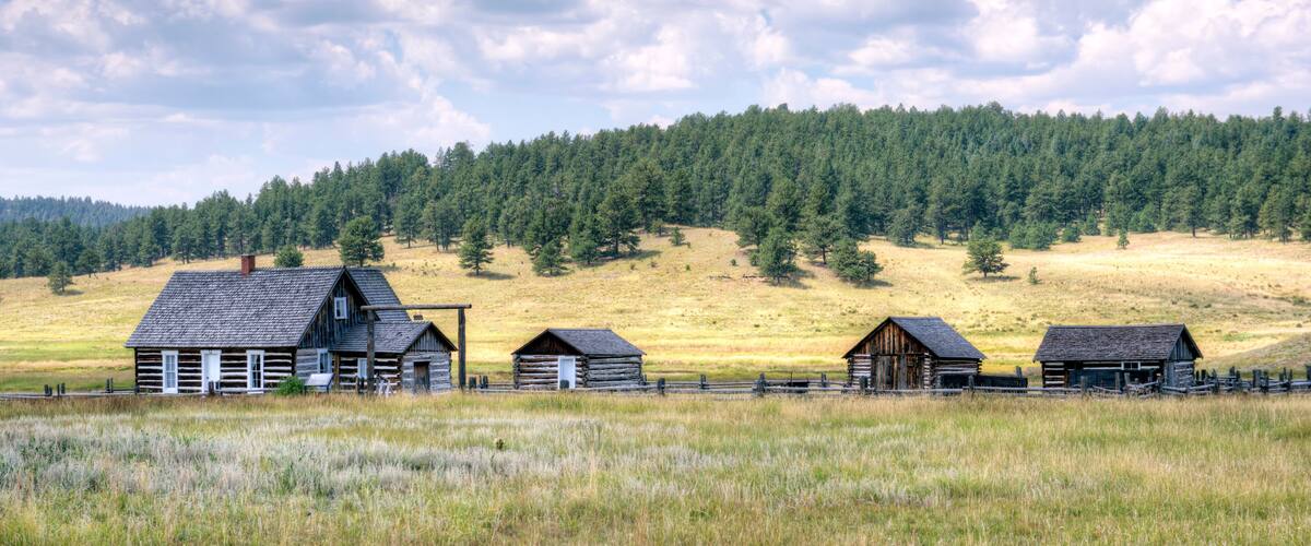 A rural landscape with a row of wooden cabins and a dense forest in the background.