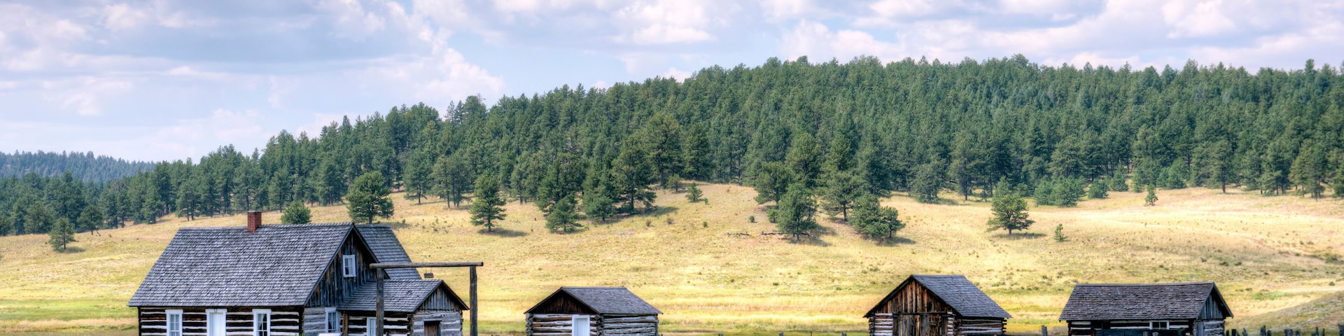 A rural landscape with a row of wooden cabins and a dense forest in the background.
