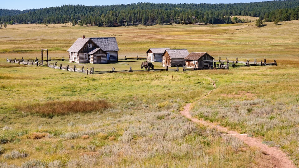 A rural landscape with a dirt path, wooden cabins, and a forest in the background.