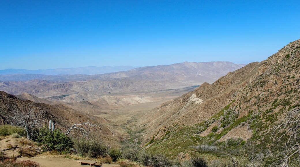 Laguna Mountain in Southern California.