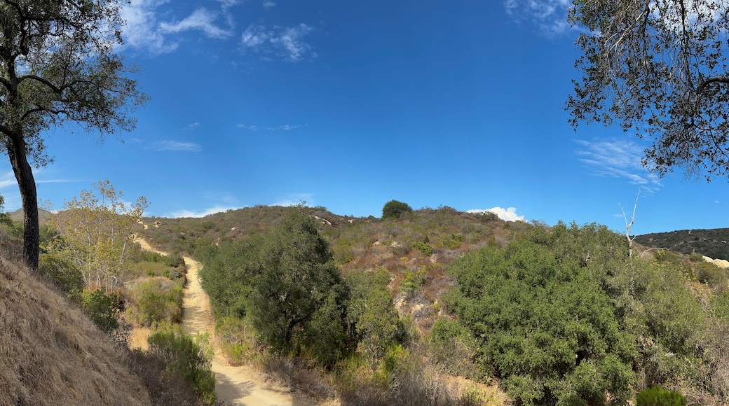 Laguna Hills