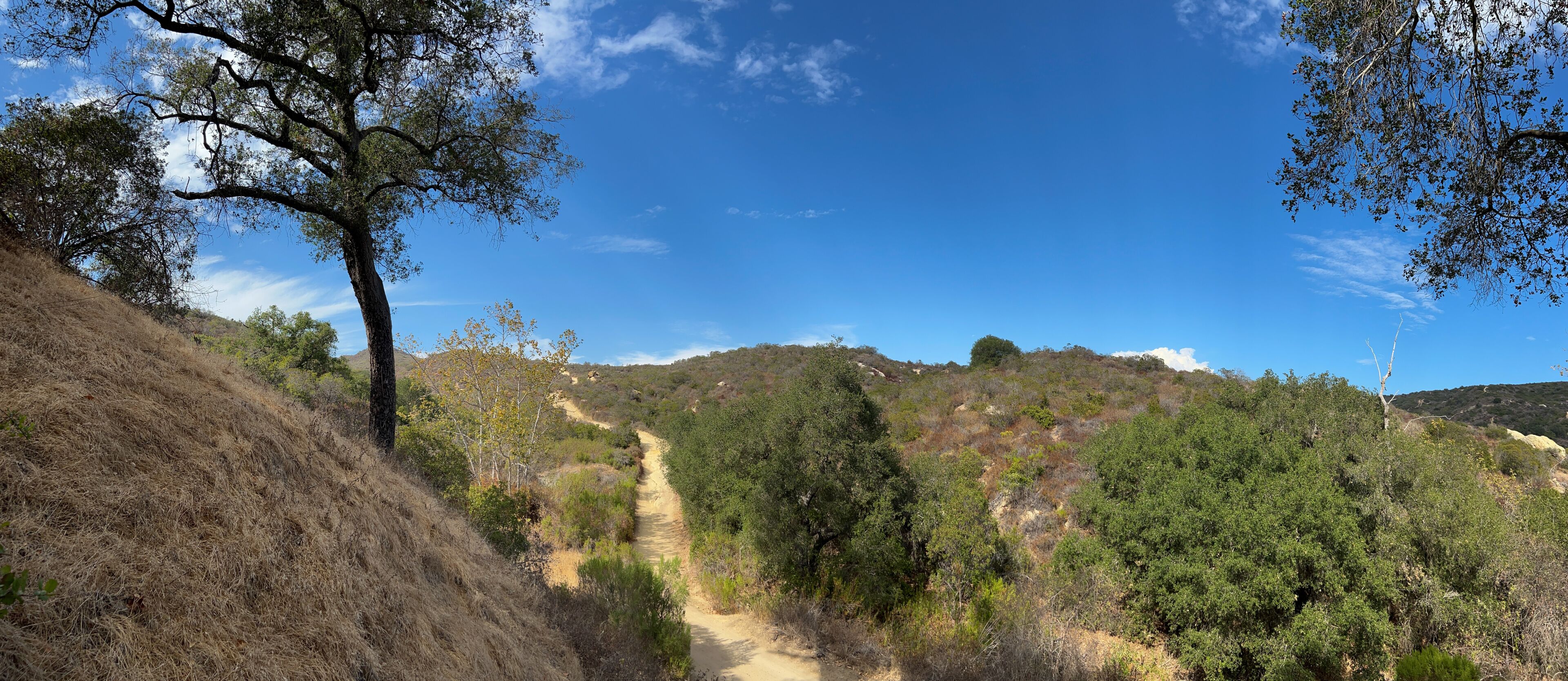 A dirt path winding through a hilly landscape with dense green foliage and a clear blue sky.