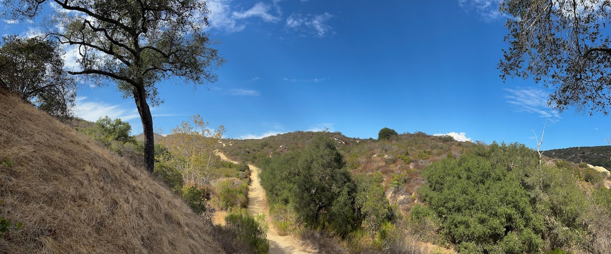 A dirt path winding through a hilly landscape with dense green foliage and a clear blue sky.