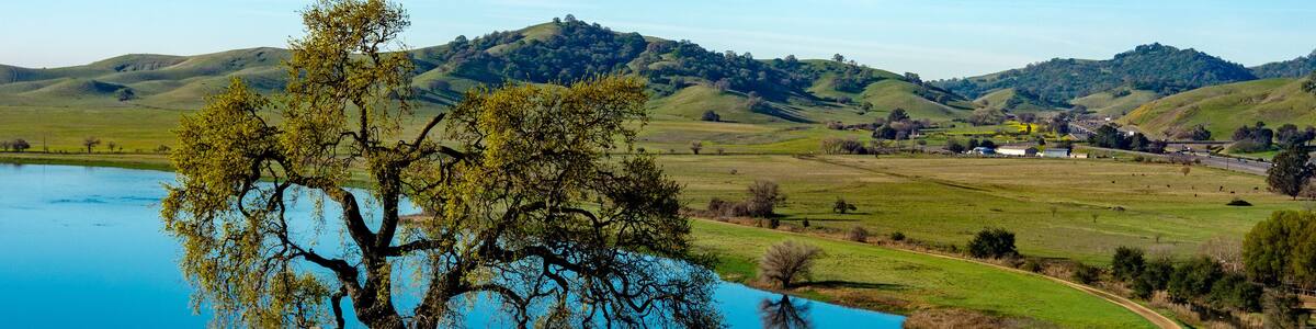 Lagoon Valley Park Vacaville California USA featuring lake overview from hill lone oak tree and blue sky