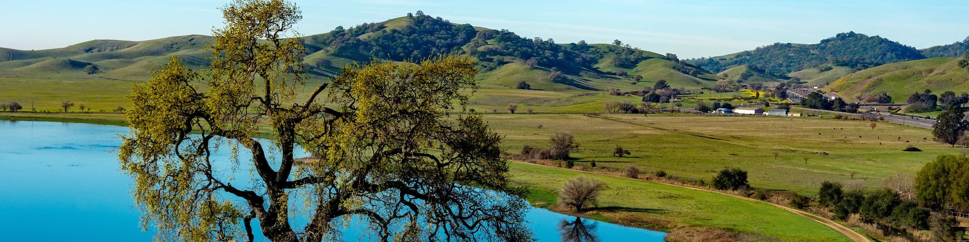 Lagoon Valley Park Vacaville California USA featuring lake overview from hill lone oak tree and blue sky