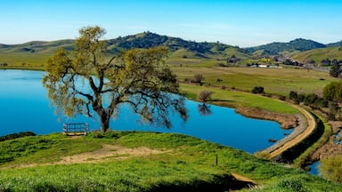 Lagoon Valley Park Vacaville California USA featuring lake overview from hill lone oak tree and blue sky