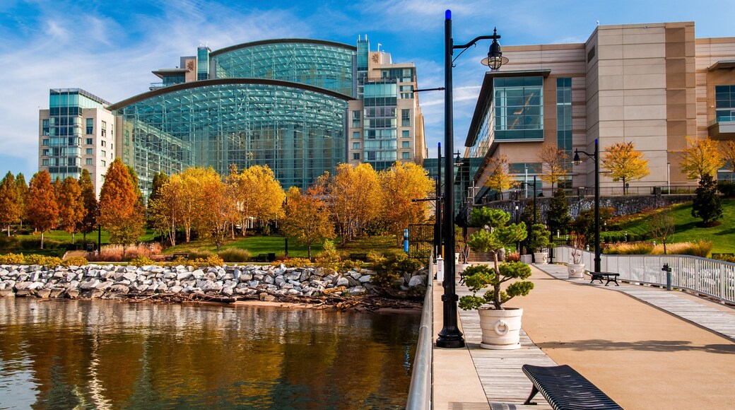 A waterfront park with a reflective lake, autumn trees, a modern glass building, and a paved walkway with benches.