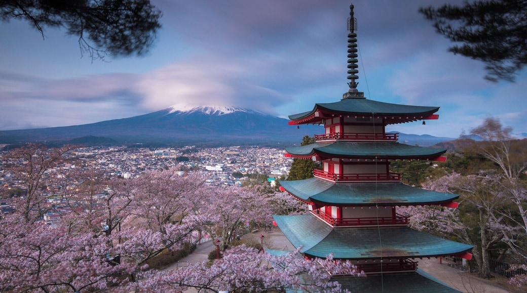 Likely the most popular photo location in Japan. If you want this shot, you have to get there early!
I was there an hour before sunrise and was the 10th person there.
#BvSJapan