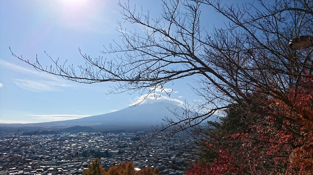It was a good day that this time Mt Fuji decided to grace us with majestic presence.