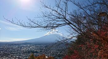 It was a good day that this time Mt Fuji decided to grace us with majestic presence.