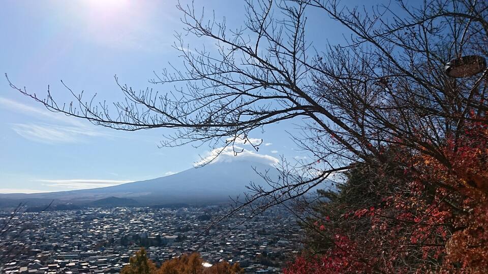 It was a good day that this time Mt Fuji decided to grace us with majestic presence.