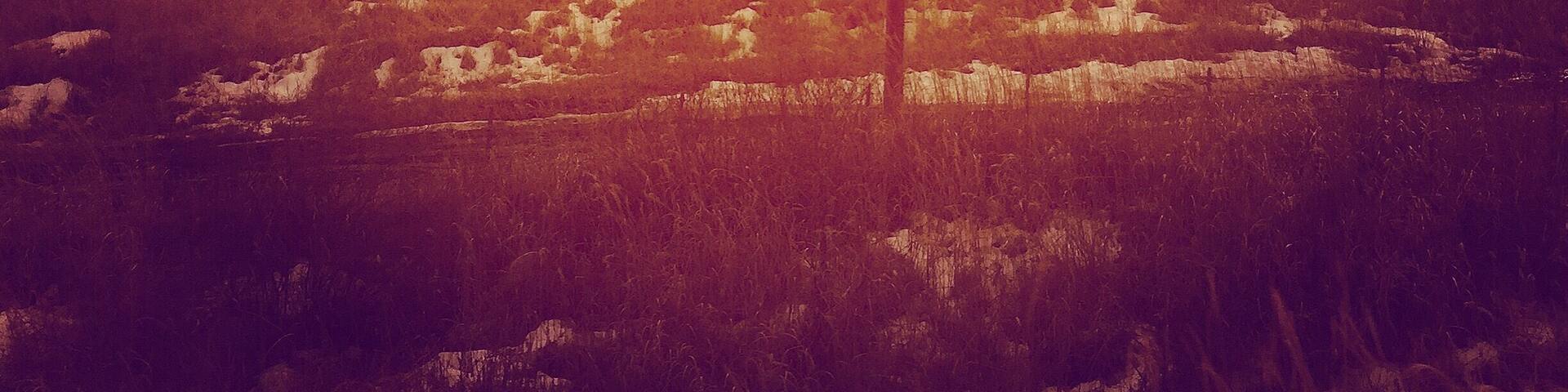 Awesome n Majestic Mount Fuji!