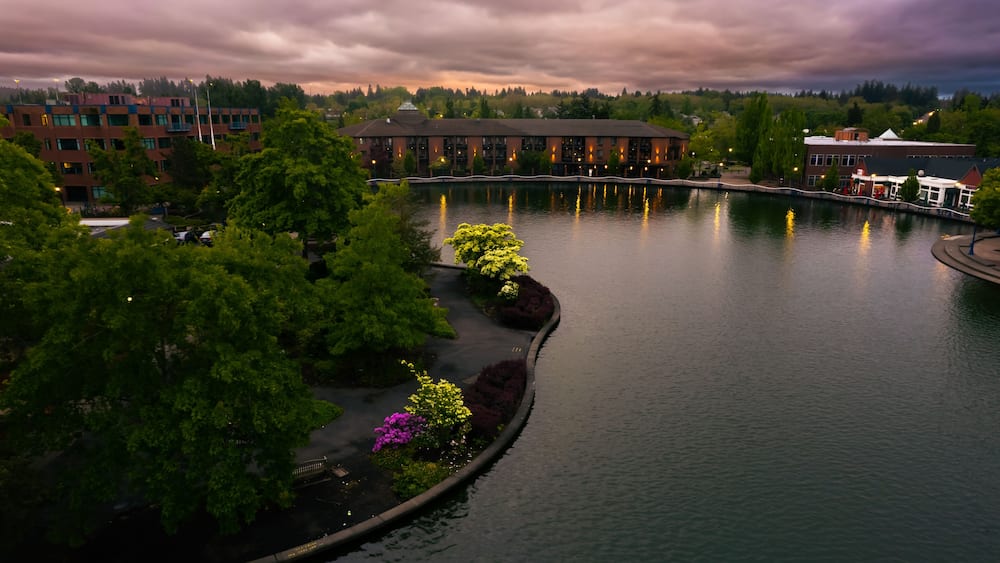 A riverside view with a bridge, buildings, and lush greenery.