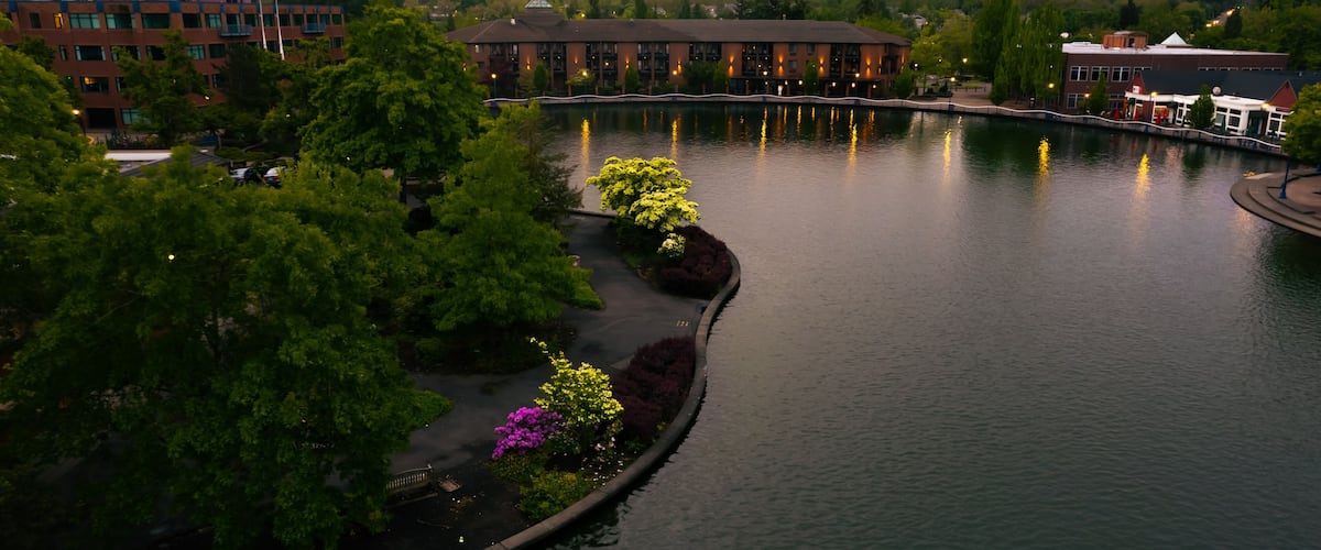 A riverside view with a bridge, buildings, and lush greenery.