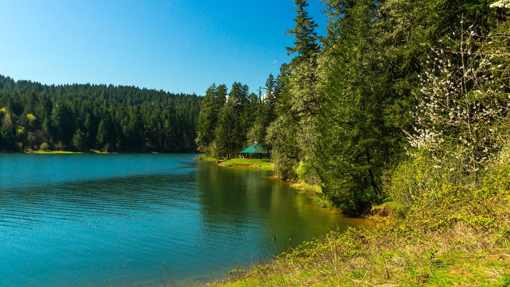 Scoggins Valley Park / Henry Hagg Lake, Washington County Park, Oregon