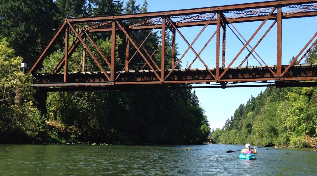 Kayaking down the tualatin river. Simple float not much current, easy for first timers and can do an out and back as short or as long as you want. #tualatin #kayak