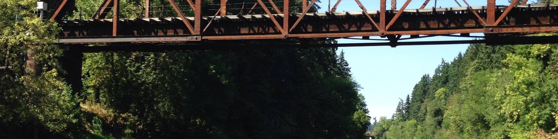 Kayaking down the tualatin river. Simple float not much current, easy for first timers and can do an out and back as short or as long as you want. #tualatin #kayak