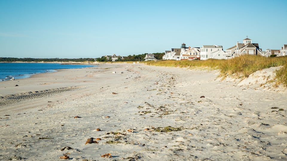A sandy beach with a clear blue sea, grassy dunes, and houses in the background.