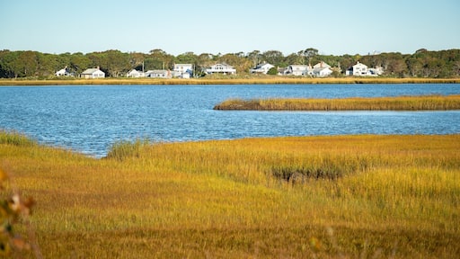 Cape Cod